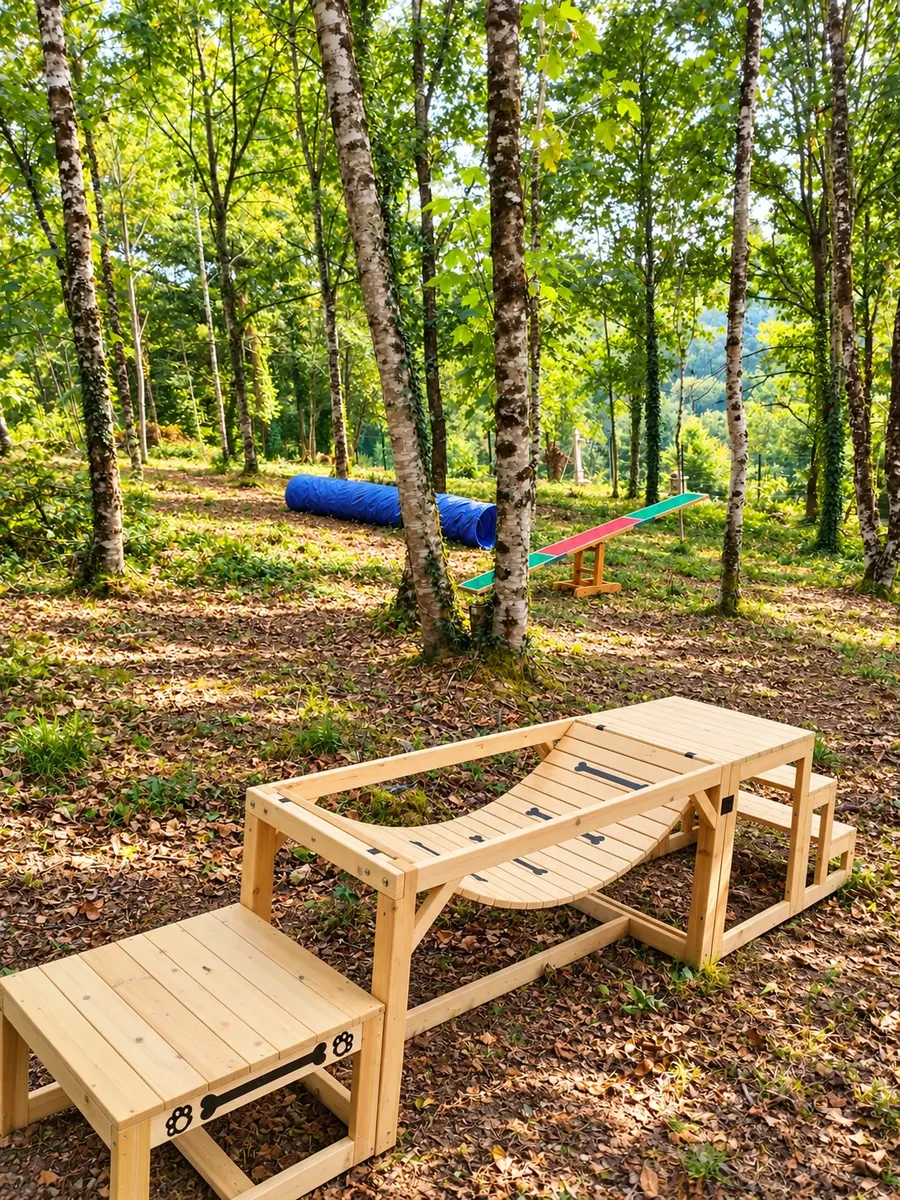 Illustration d’obstacles d’agility sous les arbres