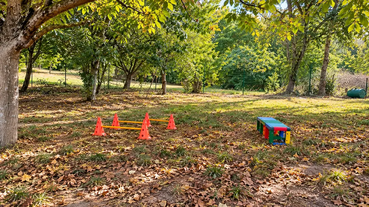 Illustration d’un terrain arboré et clôturé